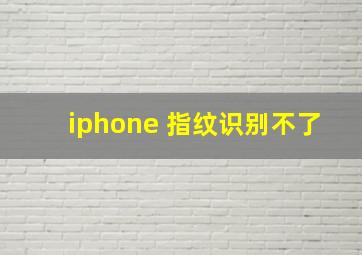 iphone 指纹识别不了